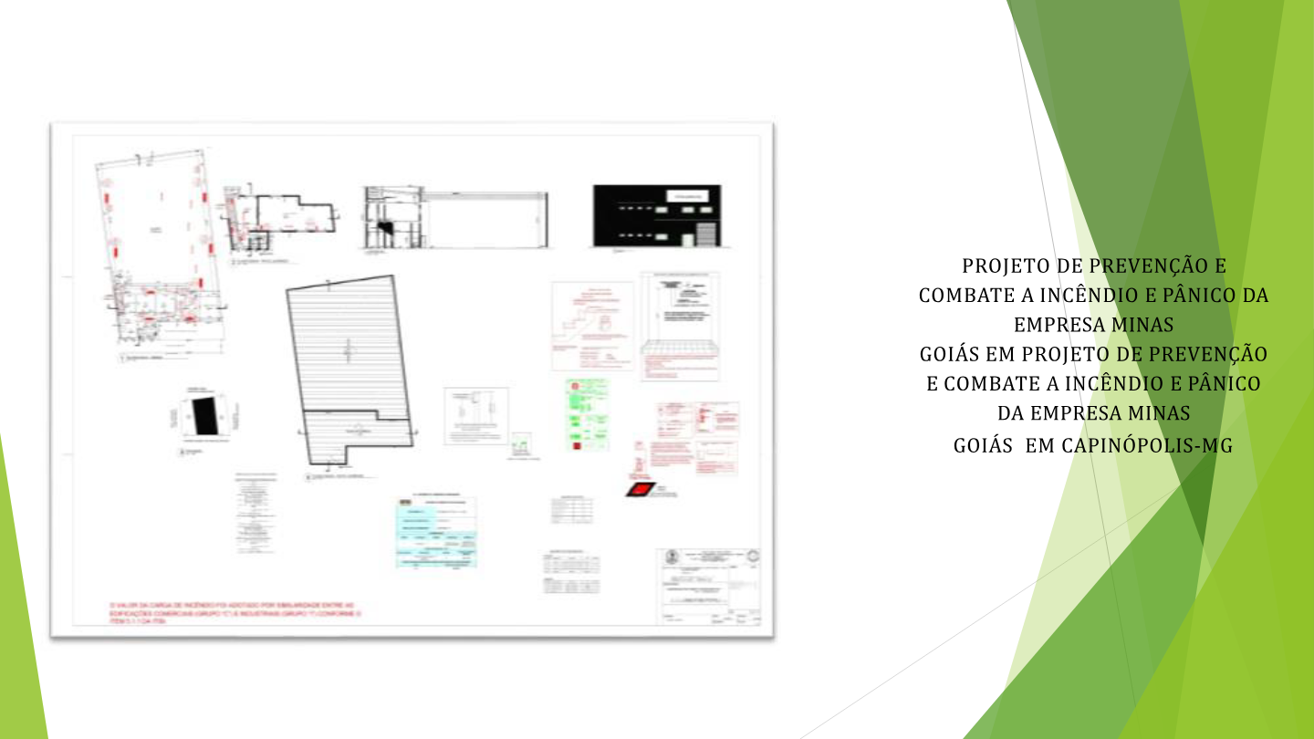 Prancha técnica do projeto Empresa Minas Goiás